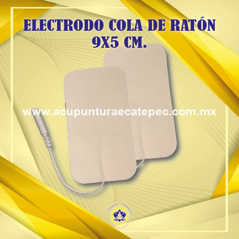 electrodos 02-06