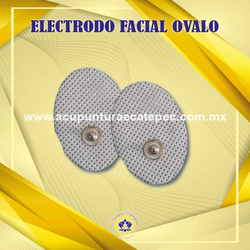electrodos_Mesa de trabajo 1